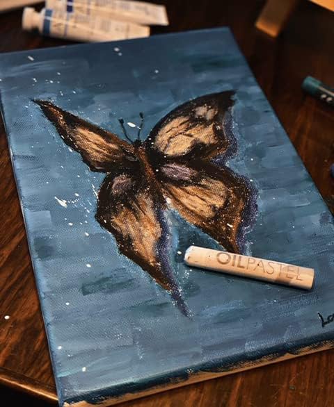 Rupas Soft Oil Pastel 48 Color Set Professional Grade