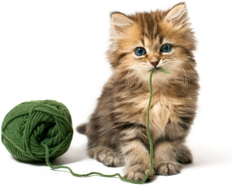 Kondoos Colored Natural wool roving, 1 lb. Best wool for needle felting, wet felting, handcrafts and spinning. (Grass green, 1 lb)