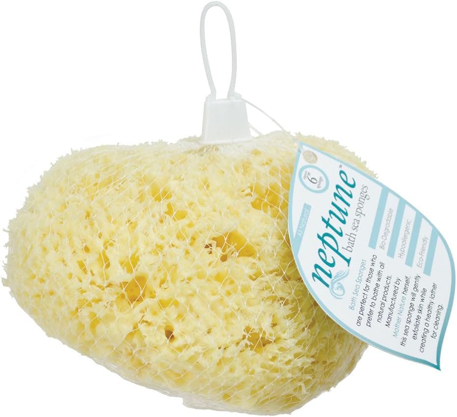 Neptune Natural Sea Wool Sponge - All Natural Honeycomb Renewable Sea Sponge, X -Large, Approx. 6 Inches