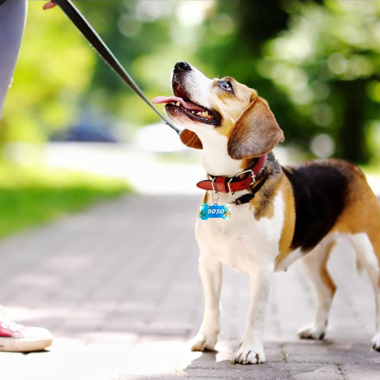 Actvty Pet Tag Resin Mold Silicone, Dog Tag Molds for Resin, Dog Bone Cat Shaped Keychain Silicone Resin Molds with 15Pcs Keychains DIY Crafts Making Tag Charm Pendant