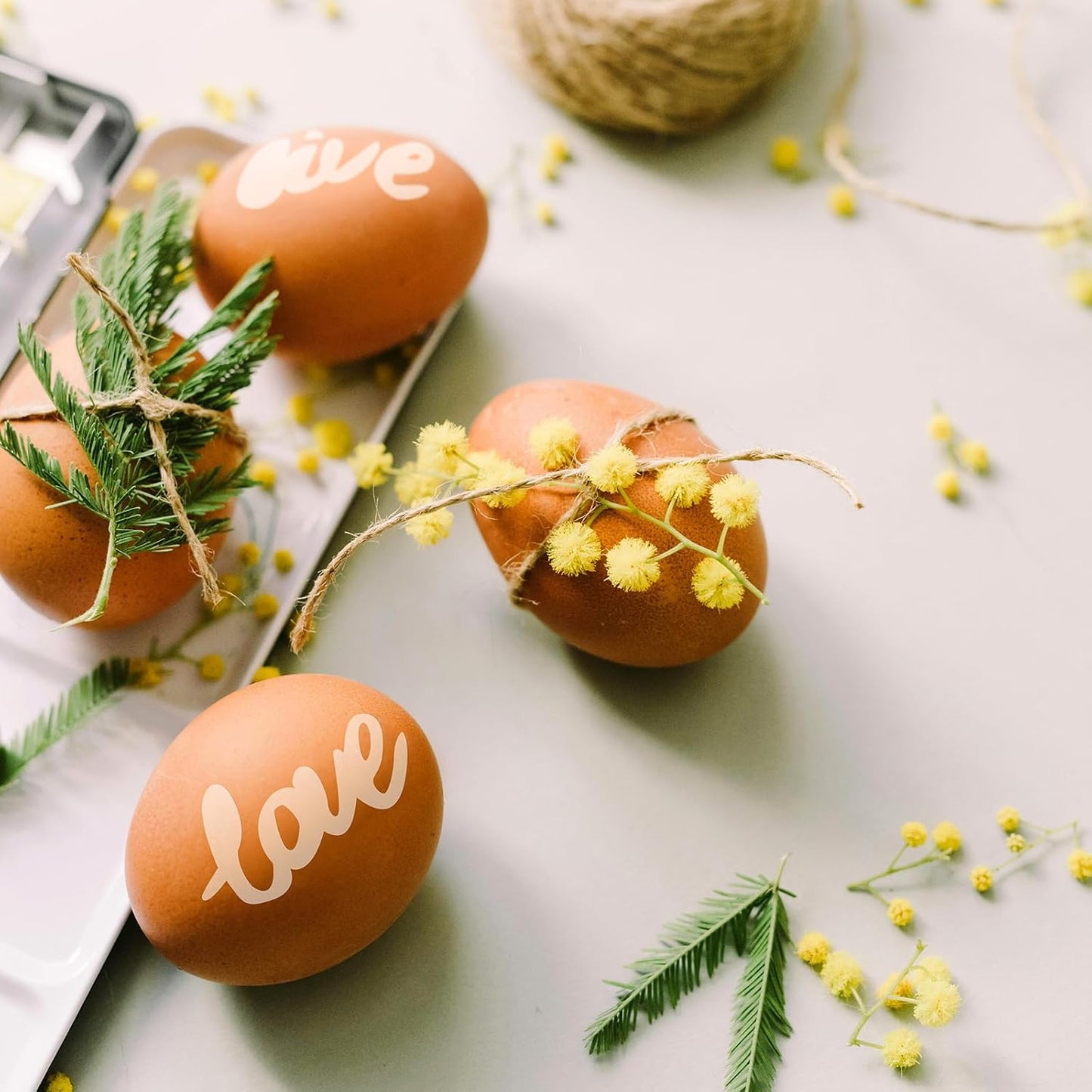 Ant Smart Adhesive Permanent Vinyl Compatible with Cricut Explore and Maker Series Without Cutting Mats, Create DIY Projects, Decals, Stickers & More (Transparent, 13inchx10ft)