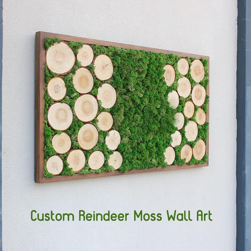 Preserved Reindeer Moss Natural Green DIY Kit Gardenning Art Wall Decor Florist Decor Easter Table Decor Wedding
