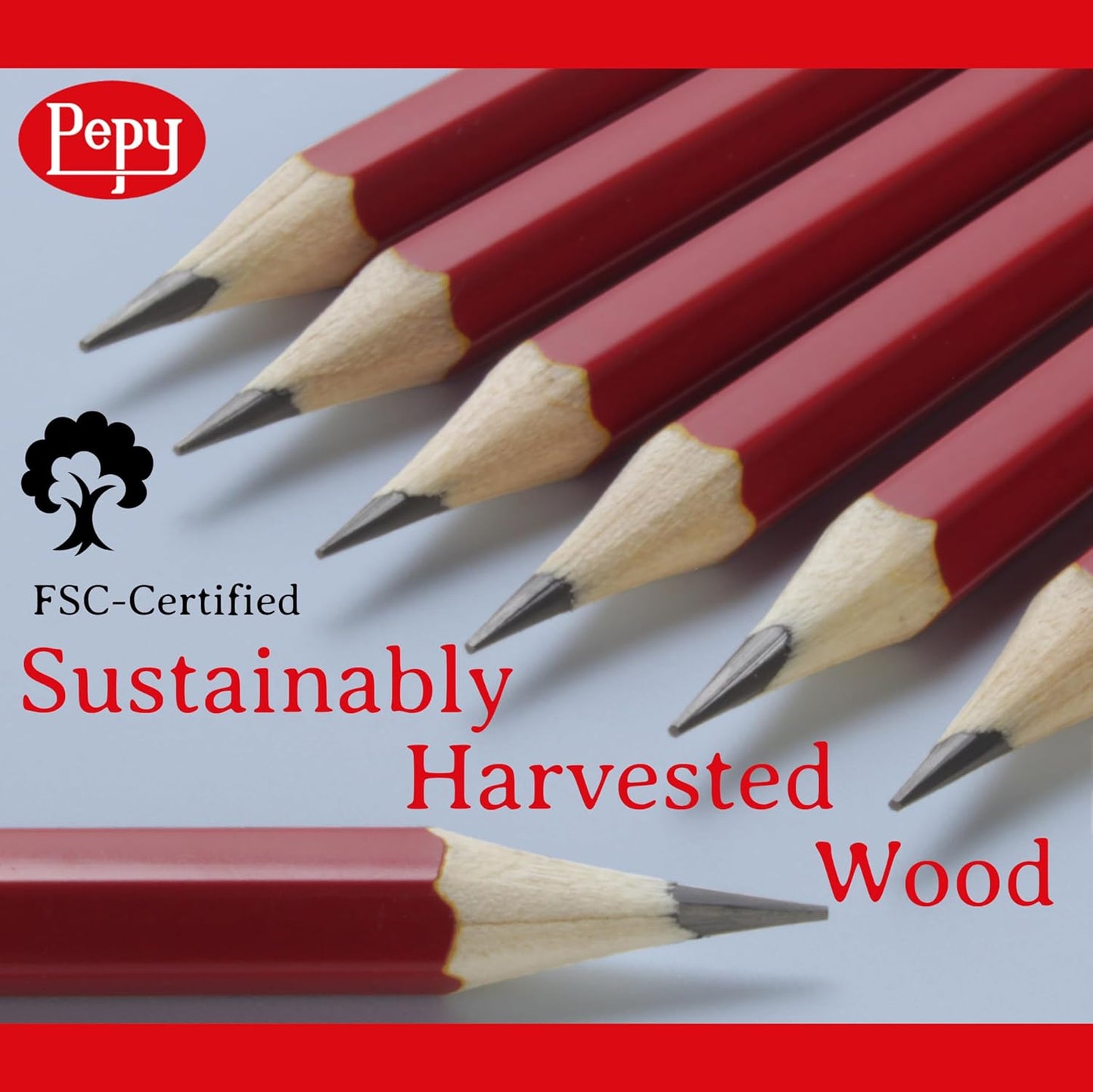 Pepy Graphite Professional Drawing Pencils - Set of 12 4B Pre-Sharpened Black Lead Pencils; Perfect for Drawing, Sketching and Shading, Graphic and Fine Art