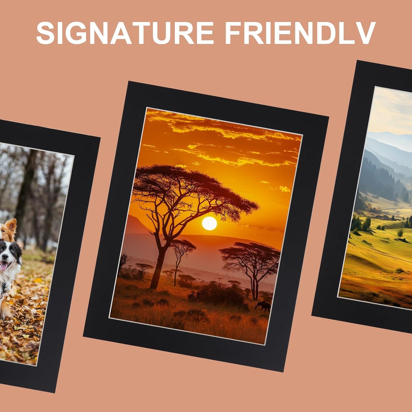 HOTUO 10 Pack Acid Free Black 11x14 Picture Frame Mats for 9x12, Pre-Cut with Ivory Core Bevel Cut, 4 Ply Thickness Photo Mat for Frames/Artwork/Prints/Pictures.