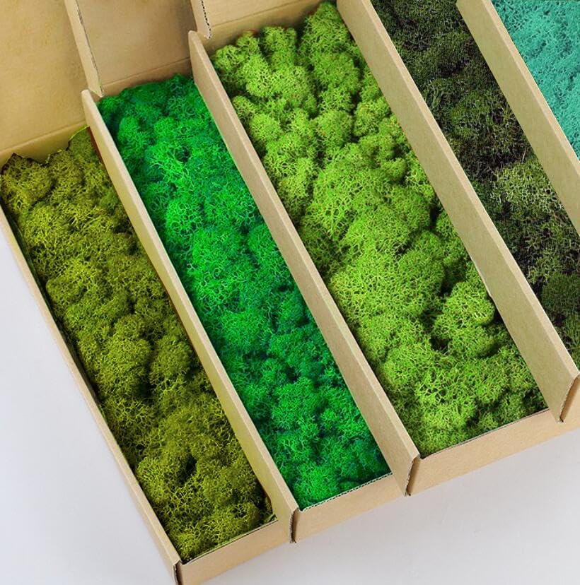 Preserved Reindeer Moss Natural Green DIY Kit Gardenning Art Wall Decor Florist Decor Easter Table Decor Wedding