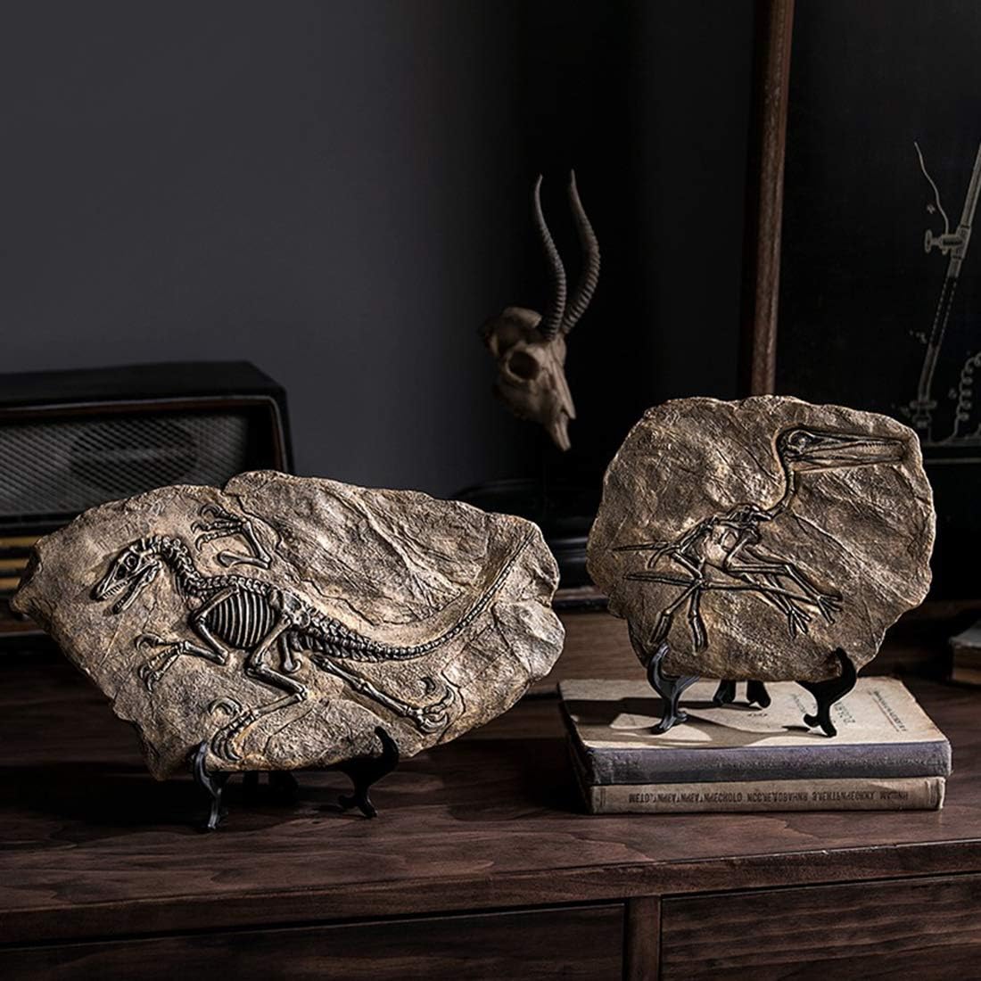 XINDAM Resin Dinosaur Fossil Statue Model Simulated Skeleton Home Office Display Decorative Craft Box Decoration (Style 3)