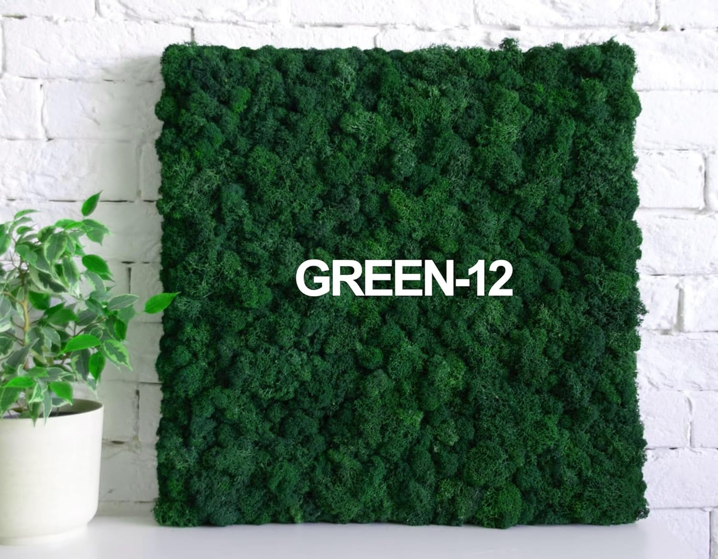 Preserved Reindeer Moss Natural Green DIY Kit Gardenning Art Wall Decor Florist Decor Easter Table Decor Wedding