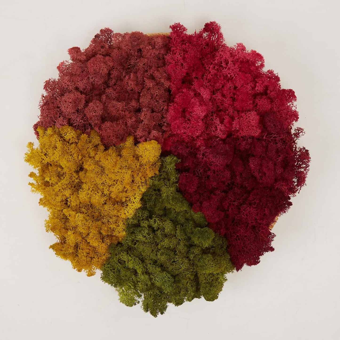 Preserved Reindeer Moss Natural Green DIY Kit Gardenning Art Wall Decor Florist Decor Easter Table Decor Wedding