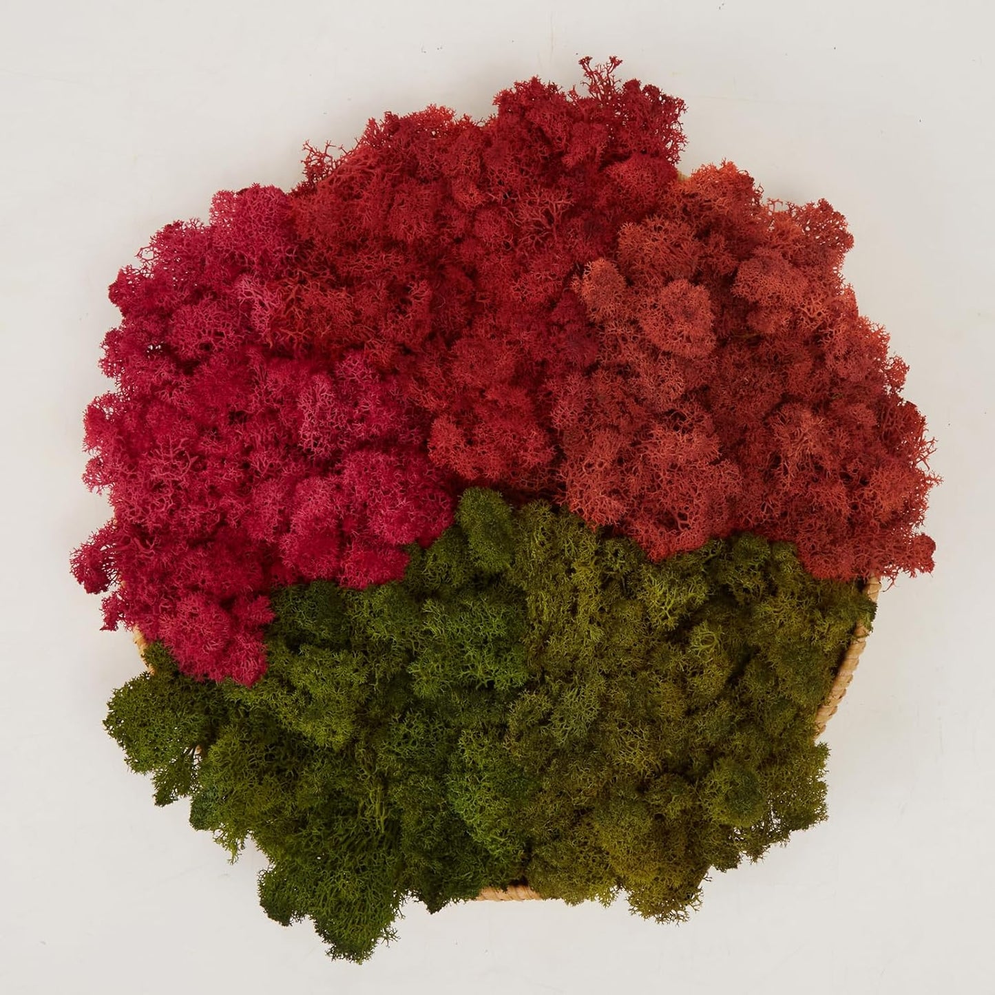 Preserved Reindeer Moss Natural Green DIY Kit Gardenning Art Wall Decor Florist Decor Easter Table Decor Wedding