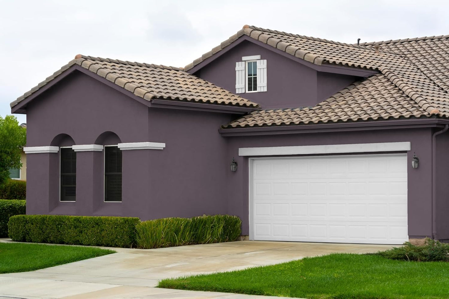 EVOLVE Paint & Primer: Environment-friendly, Low Sheen with One-coat Coverage for Interior & Exterior surfaces (Gentle Plum, 5-Gallon)