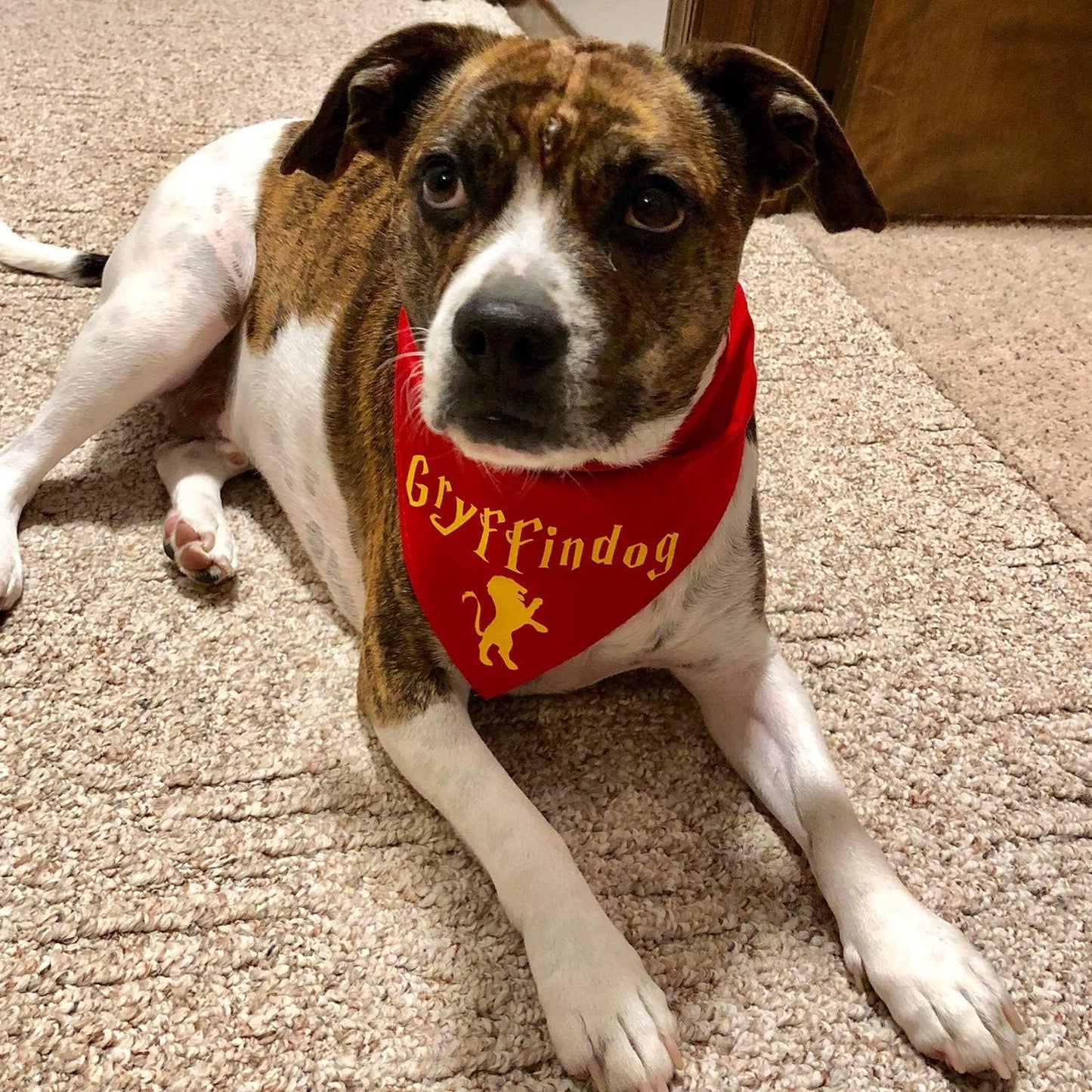 VINYL FROG Heat Transfer Vinyl Roll HTV Vinyl - 12" x12ft Yellow Iron on Vinyl for T-Shirts, Heat Press Vinyl for DIY Craft Designs (Yellow)