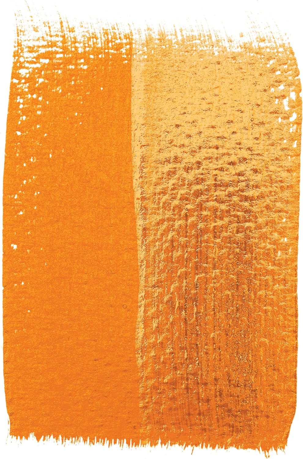 Liquitex Professional High Gloss Varnish, 1.89L (Half Gallon) Bucket