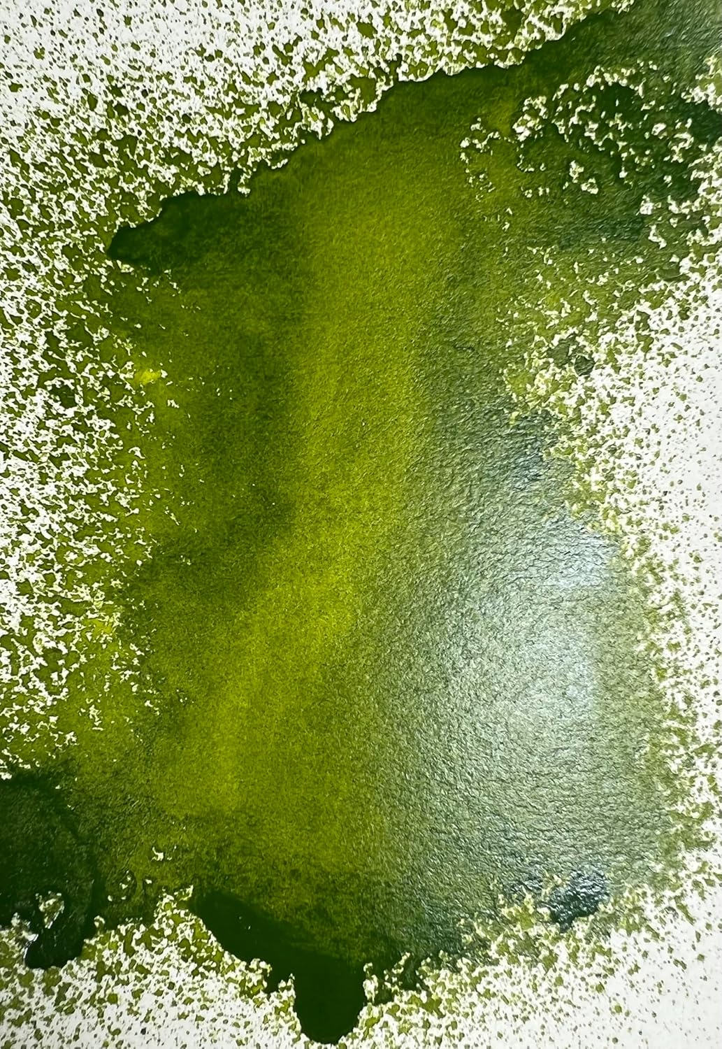 CSY rt Gallery Mixed Media Magic Oxide Ink Art Spray -1.9 oz Acrylic Paint Water-Based and Light Fast Painting Spary Set (Cool Mint)