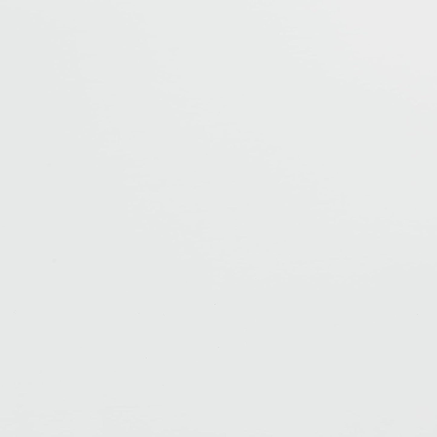 Ant Smart Adhesive Permanent Vinyl Compatible with Cricut Explore and Maker Series Without Cutting Mats, Create DIY Projects, Decals, Stickers & More (Matte White, 13inchx15ft)