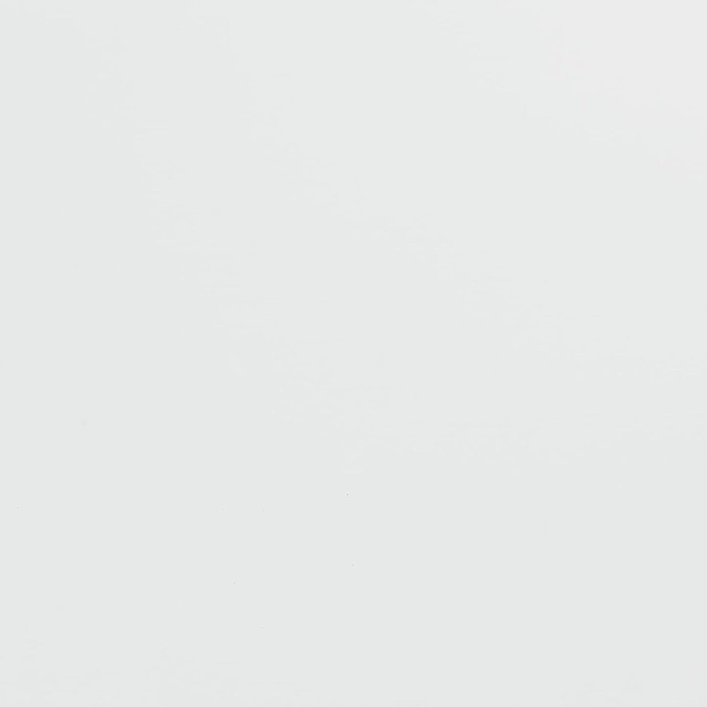 Ant Smart Adhesive Permanent Vinyl Compatible with Cricut Explore and Maker Series Without Cutting Mats, Create DIY Projects, Decals, Stickers & More (Matte White, 13inchx10ft)