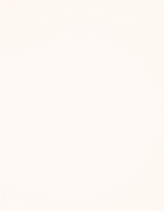 PA Paper Accents Stash Builder Textured Cardstock 8.5" x 11" Snow White, 65lb Colored cardstock Paper for Card Making, Scrapbooking, Printing, Quilling and Crafts, 25 Piece Pack