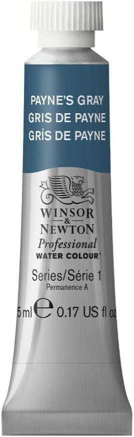 Winsor & Newton Professional Water Colour Paint, 0.17-oz Tube, Payne's Gray