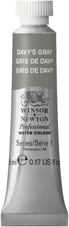 Winsor & Newton Professional Water Colour Paint, 0.17-oz Tube, Davy's Gray