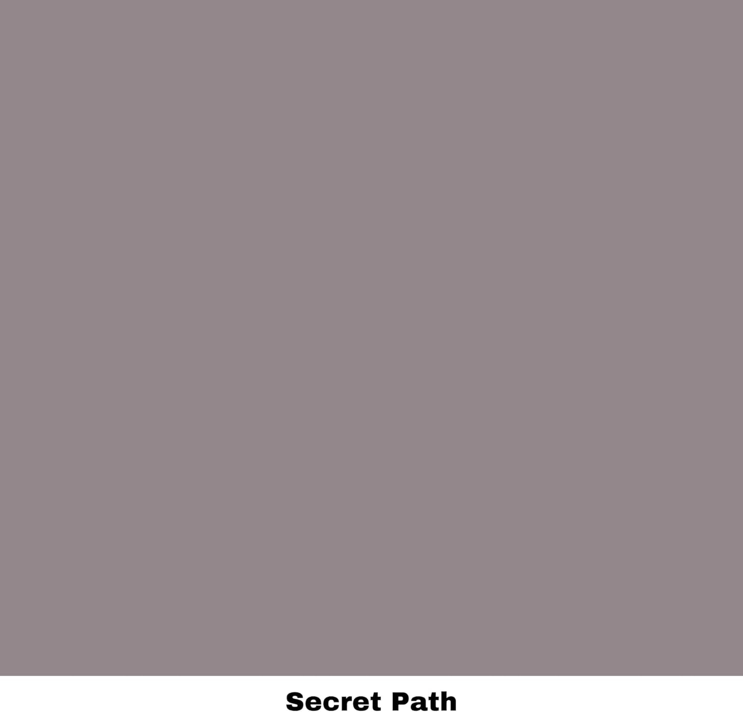 Dixie Belle Paint Company Chalk Finish Furniture Paint - Secret Path (16oz) - Matte Dusty Lilac Chic Chalk Mineral DIY Furniture Paint