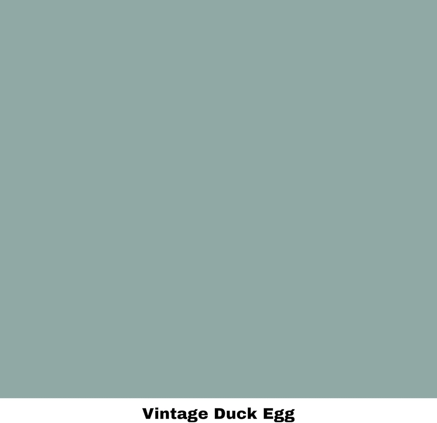 Dixie Belle Paint Company Chalk Finish Furniture Paint - Vintage Duck Egg (8oz) - Matte Light Blue Chic Chalk Mineral DIY Furniture Paint