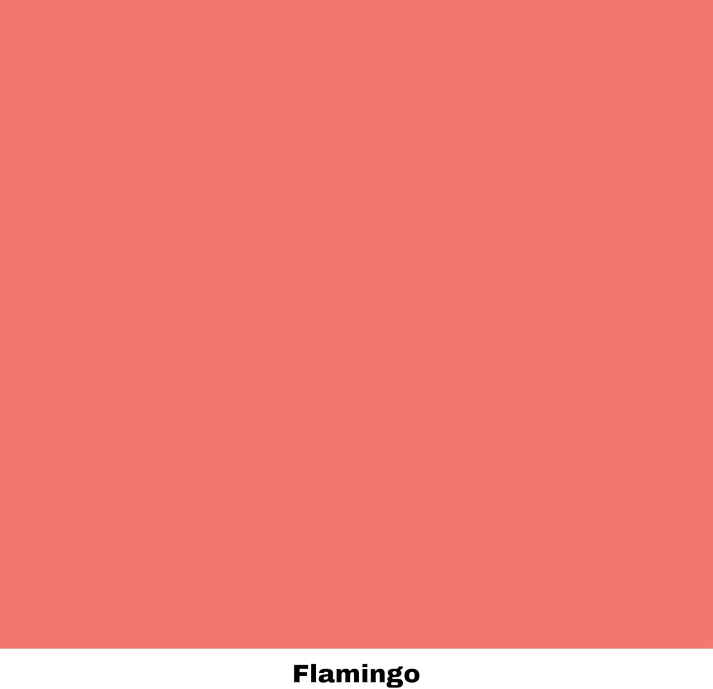 Dixie Belle Paint Company Chalk Finish Furniture Paint - Flamingo (8oz) - Matte Bright Coral Chic Chalk Mineral DIY Furniture Paint