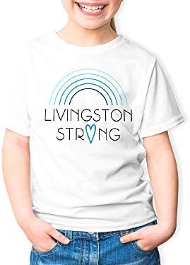 NuFun Activities Inkjet Printable Iron-On Heat TShirt Transfer Paper 11x17 (25, Light Fabrics)