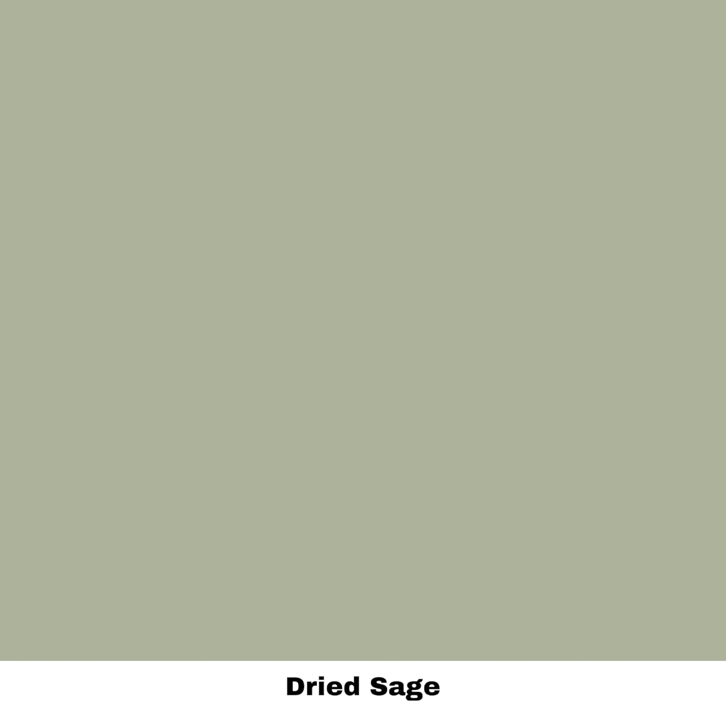 Dixie Belle Paint Company Chalk Finish Furniture Paint - Dried Sage (16oz) - Matte Gray/Green Chic Chalk Mineral DIY Furniture Paint