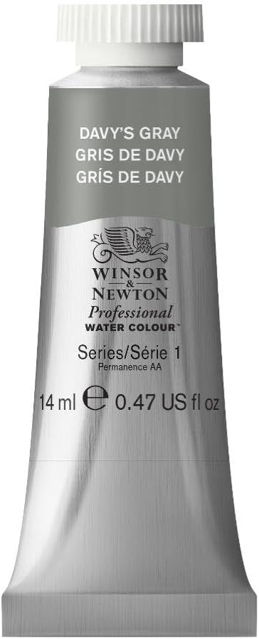 Winsor & Newton Professional Watercolor, 14ml (0.47-oz) Tube, Davy's Gray