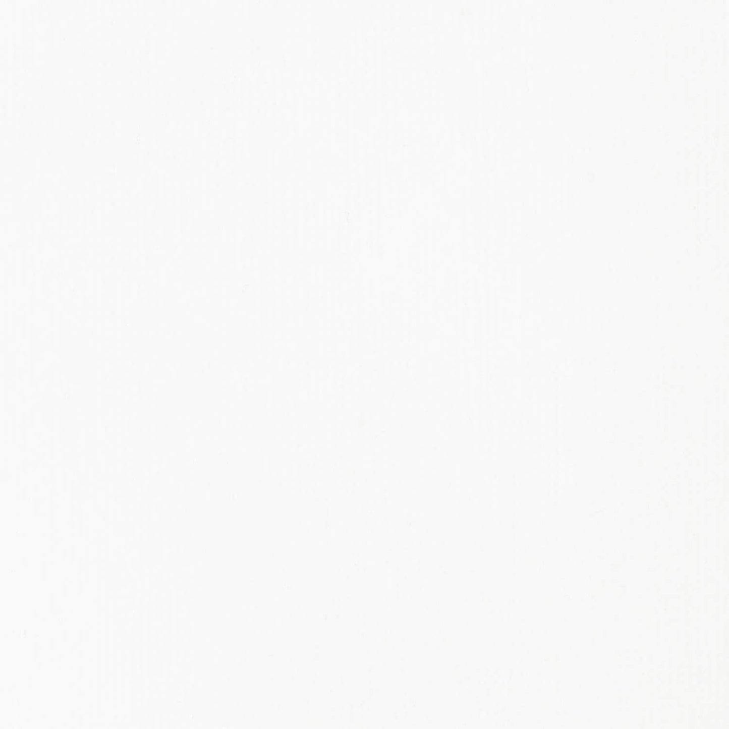 Liquitex BASICS Acrylic Paint, 400ml (13.5-oz) Bottle, Titanium White