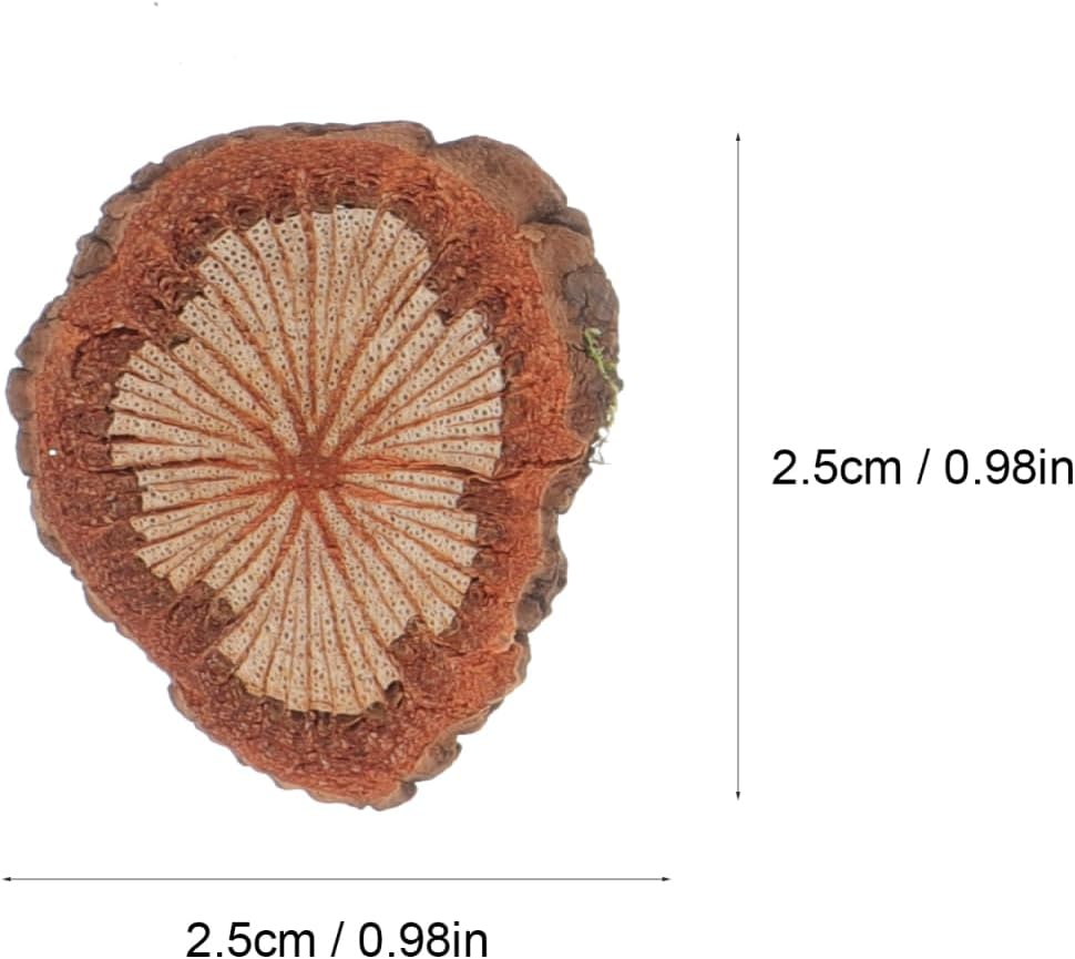 GALPADA Christmas Tree Bark Wood Slices Xmas Ornaments Mini Natural Vintage Round Log Discs for Arts & Crafts Home DIY Table Decoration