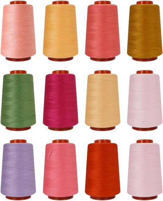 12PCS Sewing Thread Kit 30wt Spools,12 Colors,Assorted Colors Each 800 Yards of Polyester Threads for Sewing Hand and Machine,Stitching, Quilting, Serger (ZH-800YARDS-3ZH)