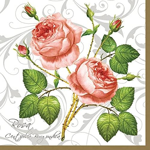 20-ct 13x13 Flowers Paper Luncheon Decoupage Napkins, 3-Ply Servilletas Printed Baby Roses Cocktail Napkin for Art, Dinner and Party, Disposable Napkins Decor