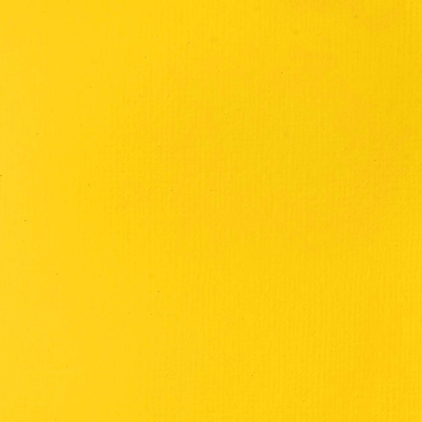 Liquitex BASICS Acrylic Paint, 118ml (4-oz) Tube, Cadmium Yellow Light Hue