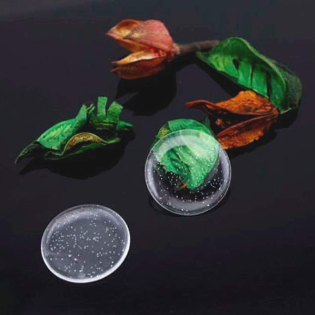 1 Inch Epoxy Stickers Craft Bottle Caps Stickers for Hair Bows Pendants Scrapbooks 100 PCS 200PCS (Glitter1, Quantity:100)