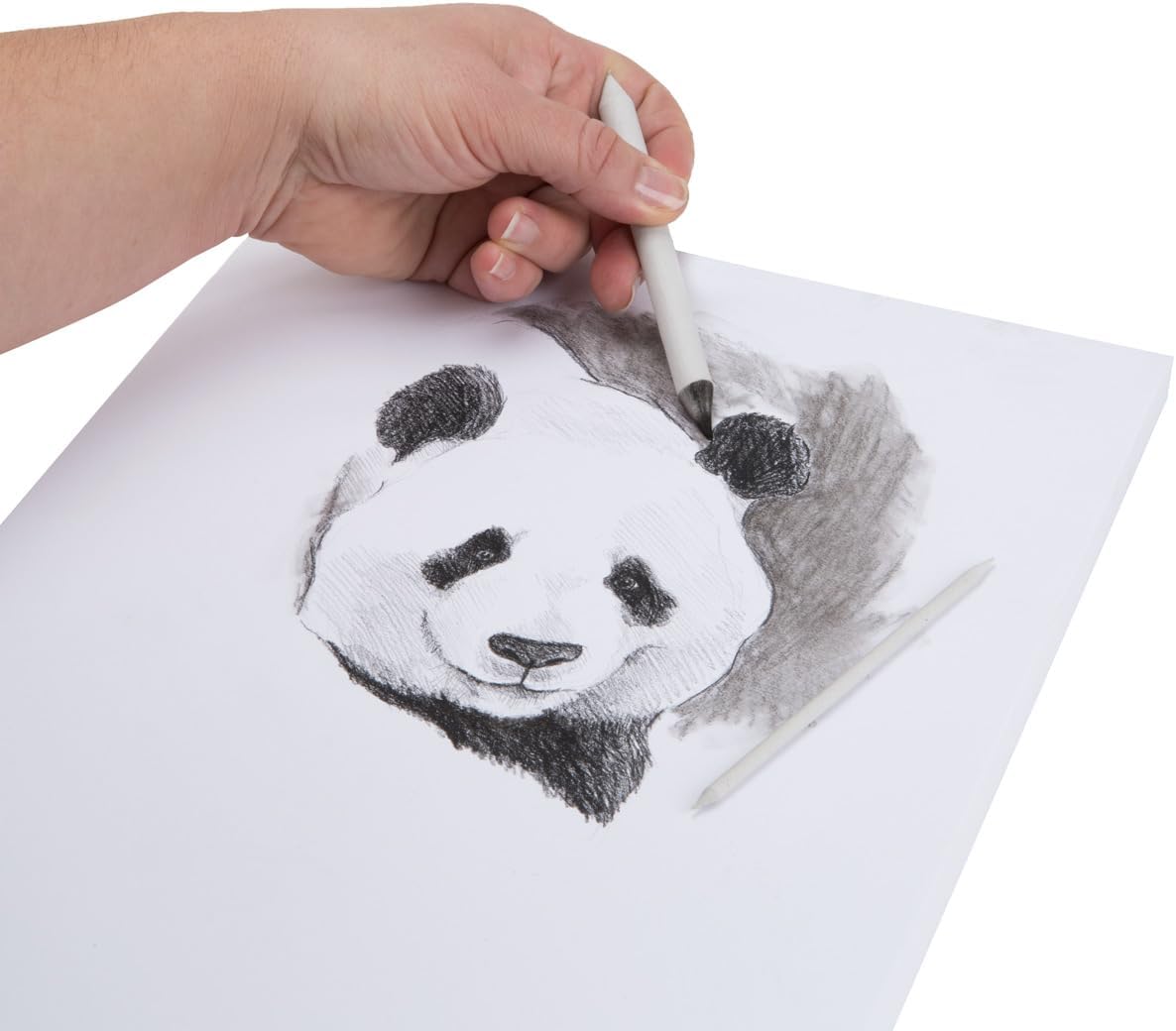 Creative Mark Art Set: Charcoal Pencils Solid Double-Ended Blending Stumps for Adults [Size # 3-12 Count], Perfect for Drawing, Pastels, and Art Design