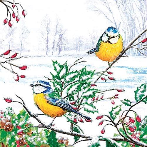 20-ct 13x13 Christmas Paper Decoupage Napkins, 3-Ply Servilletas Tissue Napkin for Dinner and Parties, Disposable Napkins (Winter Tits)