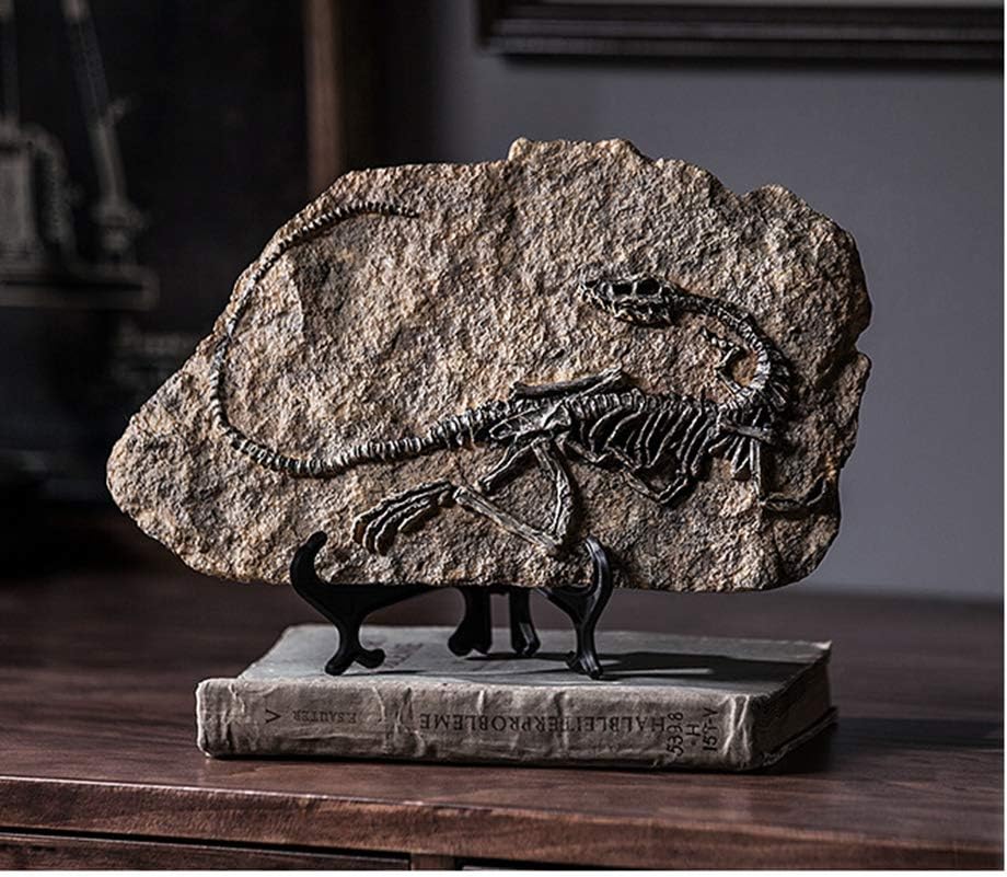 XINDAM Resin Dinosaur Fossil Statue Model Simulated Skeleton Home Office Display Decorative Craft Box Decoration (Style 1)