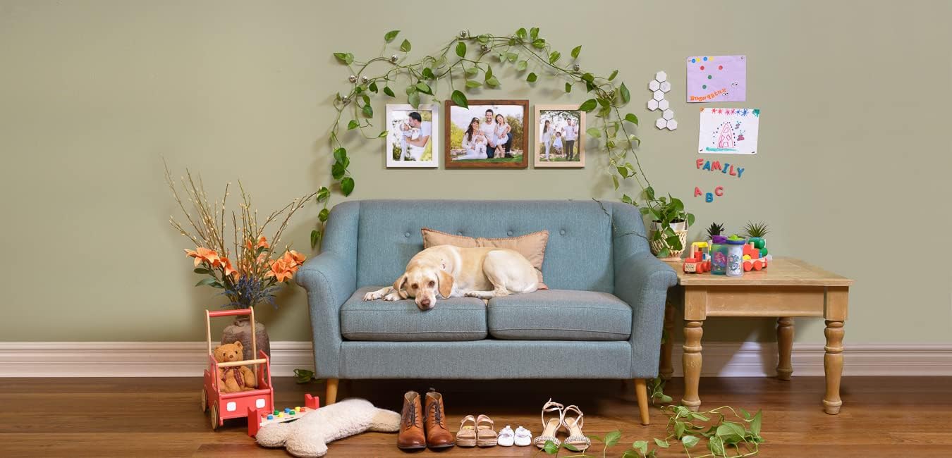 Magnetize-It! Magnetic Paint & Primer (Water Based) - High Standard 1 Gallon, MIHYD-2278