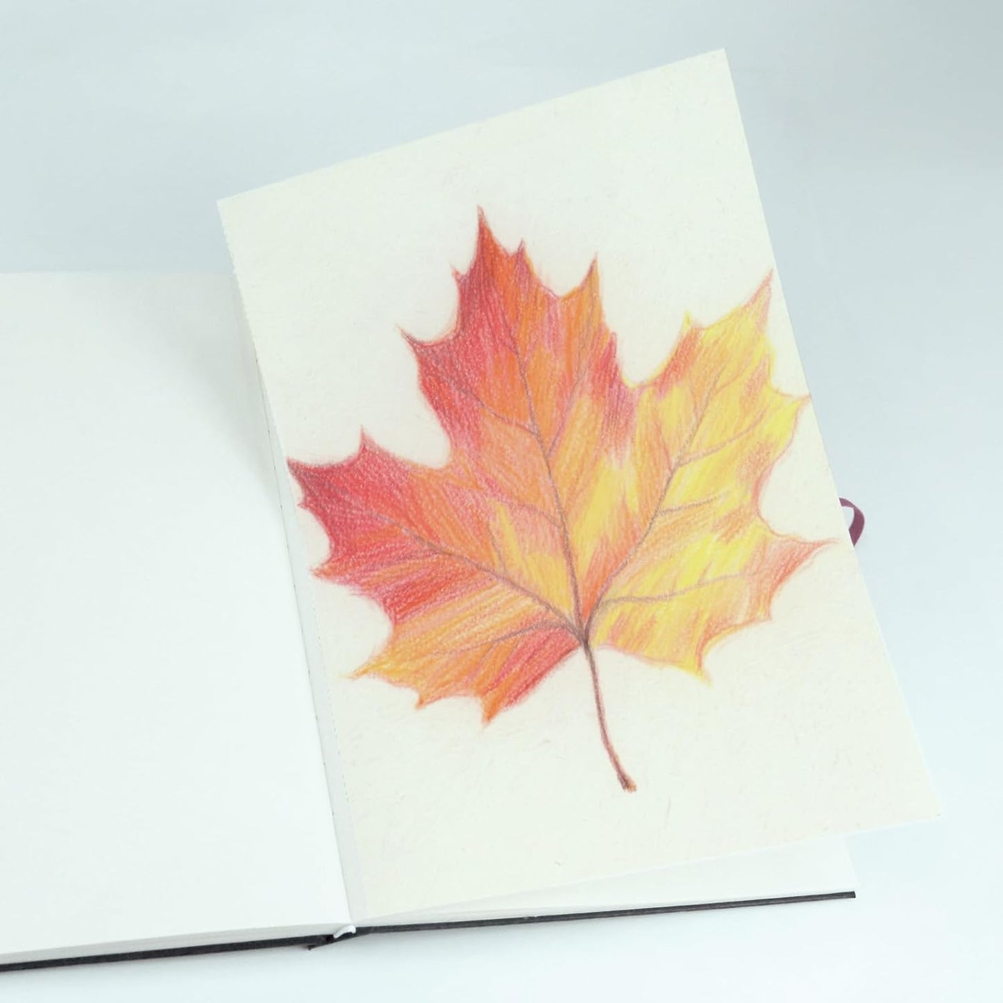 CuppaClip Sketch Book Hardcover Drawing Pad 300GSM Acid-Free Paper Spiral Bound Sketchbook 50 Sheets/100 Pages Art Supplies (Hardcover, 8.3x11.8in)