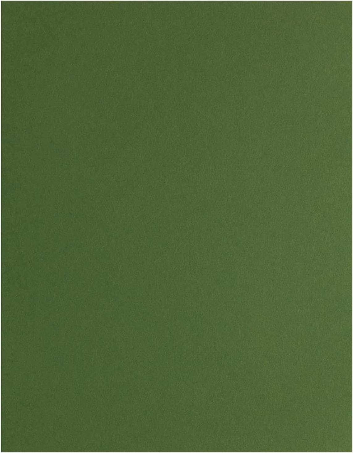 PA Paper Accents Stash Builder Cardstock 8.5" x 11" BParrot, 65lb colored cardstock paper for card making, scrapbooking, printing, quilling and crafts, 25 piece pack