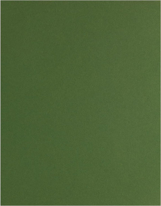 PA Paper Accents Stash Builder Cardstock 8.5" x 11" BParrot, 65lb colored cardstock paper for card making, scrapbooking, printing, quilling and crafts, 25 piece pack