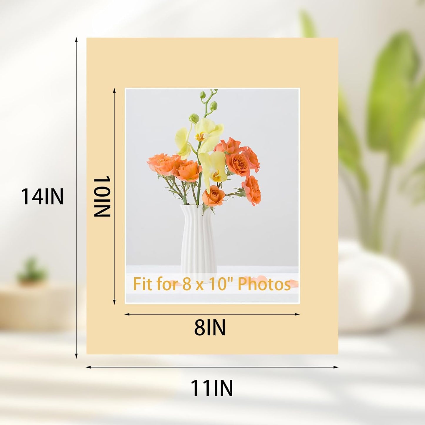 Prudiut 15 Pack 11x14 Picture Mats, Mixed Colors Frame Mattes for 8 x10 Pictures Photo Frame Mat Core Bevel Cut Mat Board Show Kit for Photos, Prints, Artworks