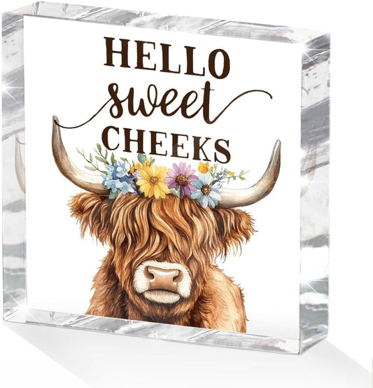Funny Cow Decorative Signs, Rustic Western Animal with Wreath Office Desk Decor Acrylic Sign 4x4 Inch, Desk Accessories Signs for Bathroom Cubicle Farmhouse Kitchen, Cow Gifts