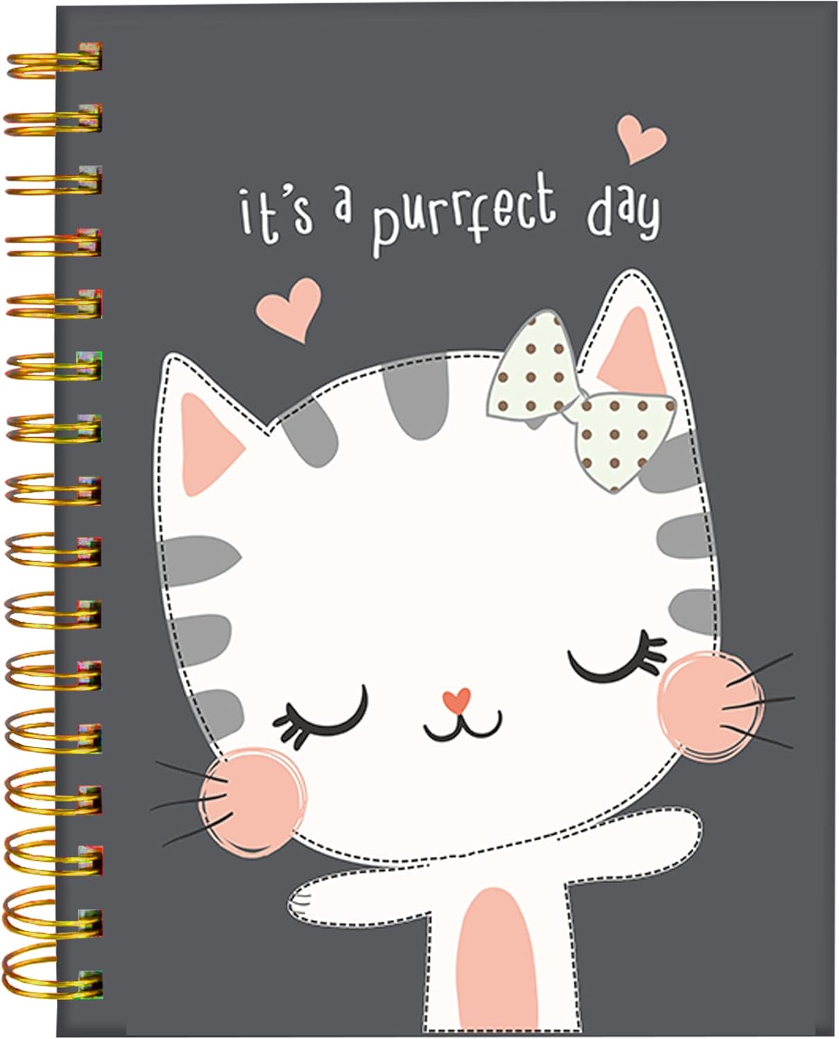 iampanda Spiral Journal Notebook,Strong Twin-Wire Binding with Premium Paper for Girl Women,60 Sheets A5 College Ruled Notebook/Journal,Perfect for School Office Home Gifts,Cute Cat