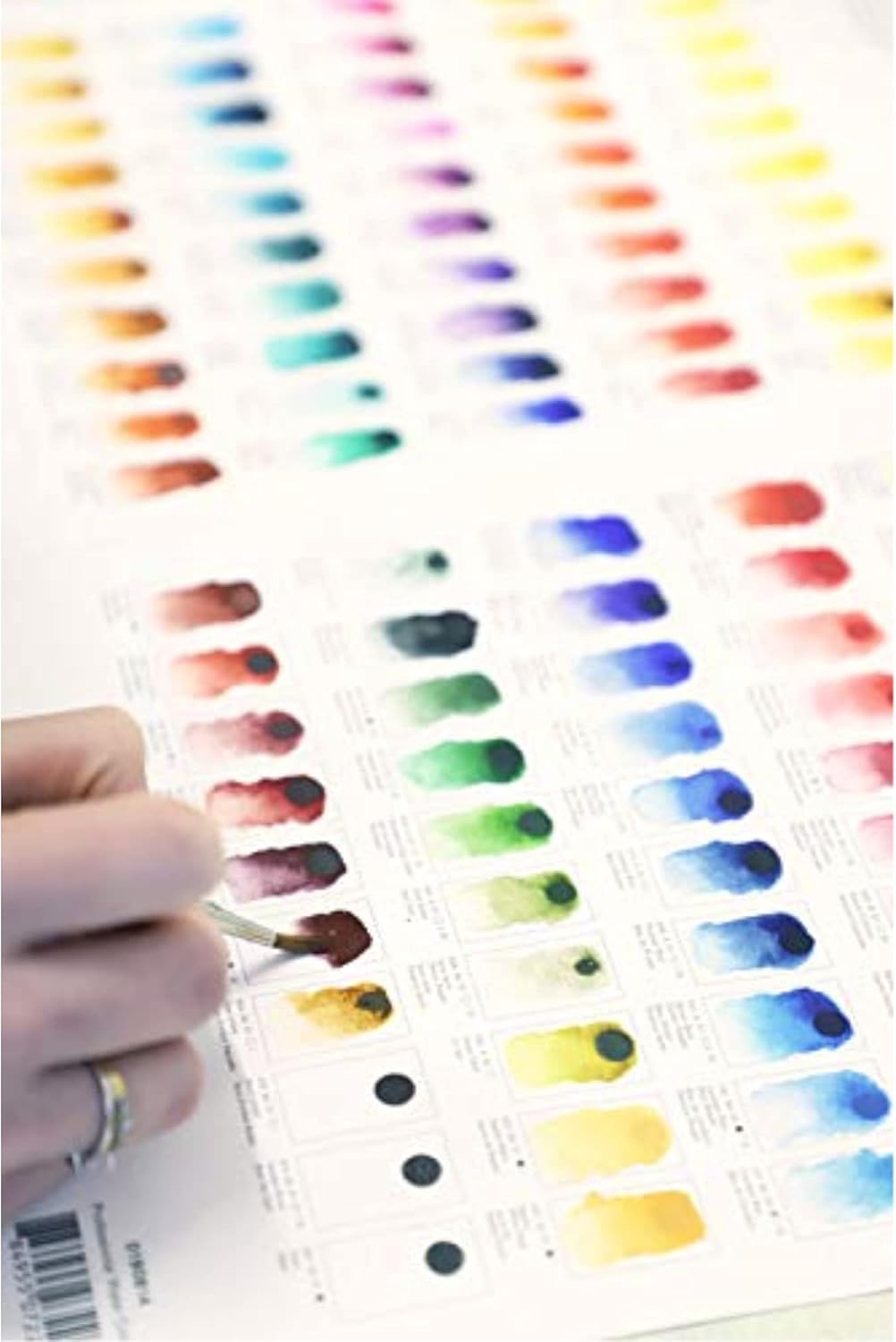 Winsor & Newton Professional Watercolour Dot Card, 1 Count (Pack of 1), All Colors