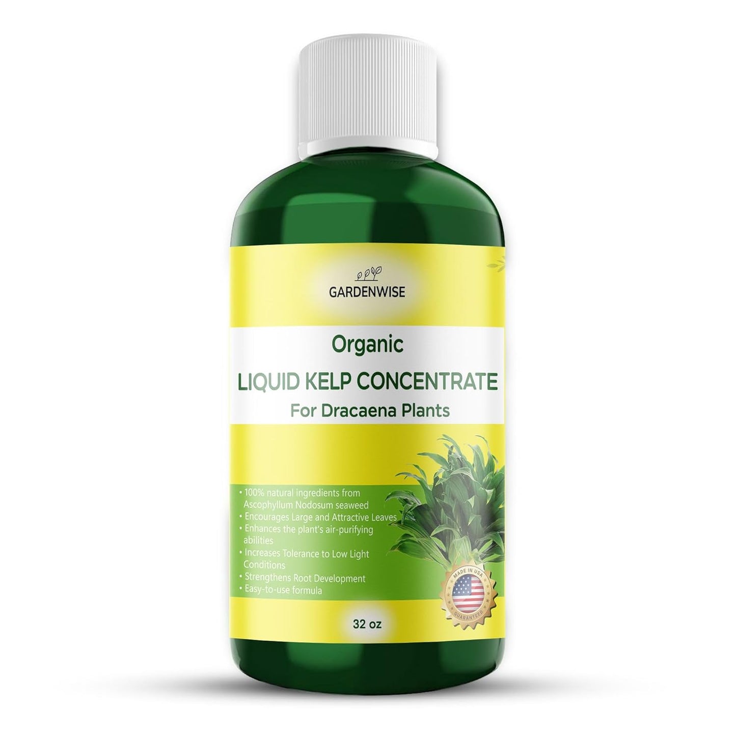 Liquid Kelp Fertilizer: Premium Dracaena Fertilizer - Plant Food for Dracaena - Organic Seaweed Fertilizer for Robust Growth (32 OZ)