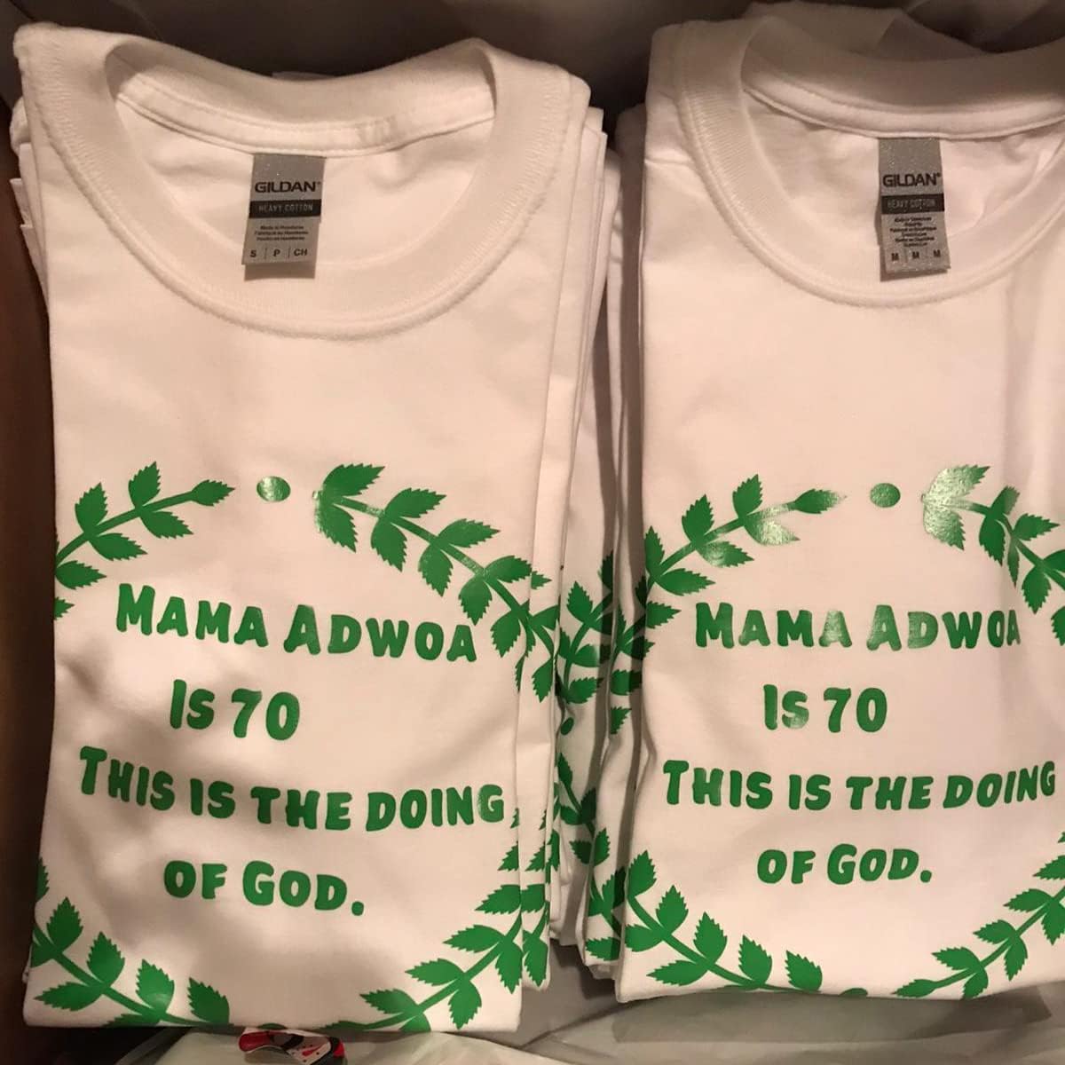 guangyintong Fruit Green Heat Transfer Vinyl HTV Rolls, 12" x 8ft Fruit Green Iron on Vinyl for T-Shirts Glossy Surface HTV Vinyl for All Cutter Machines Easy to Cut & Weed for Heat Vinyl Design