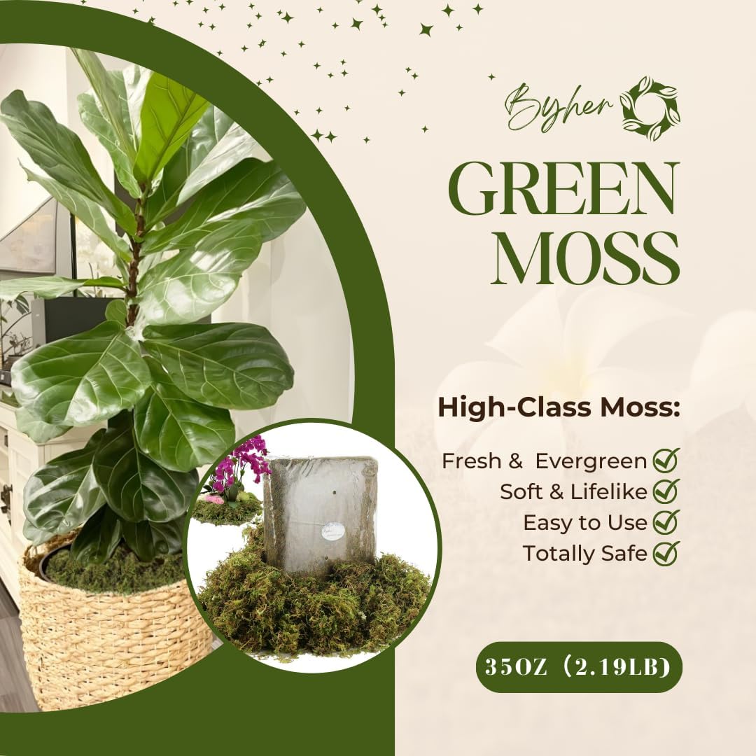BYHER 35 OZ Large Capacity Fake Moss for Plants Indoor, Fresh Green Moss for Potted Plants Craft Moss for Home & Office Decor Fairy Garden Decoration (Fresh Green - 992gr)