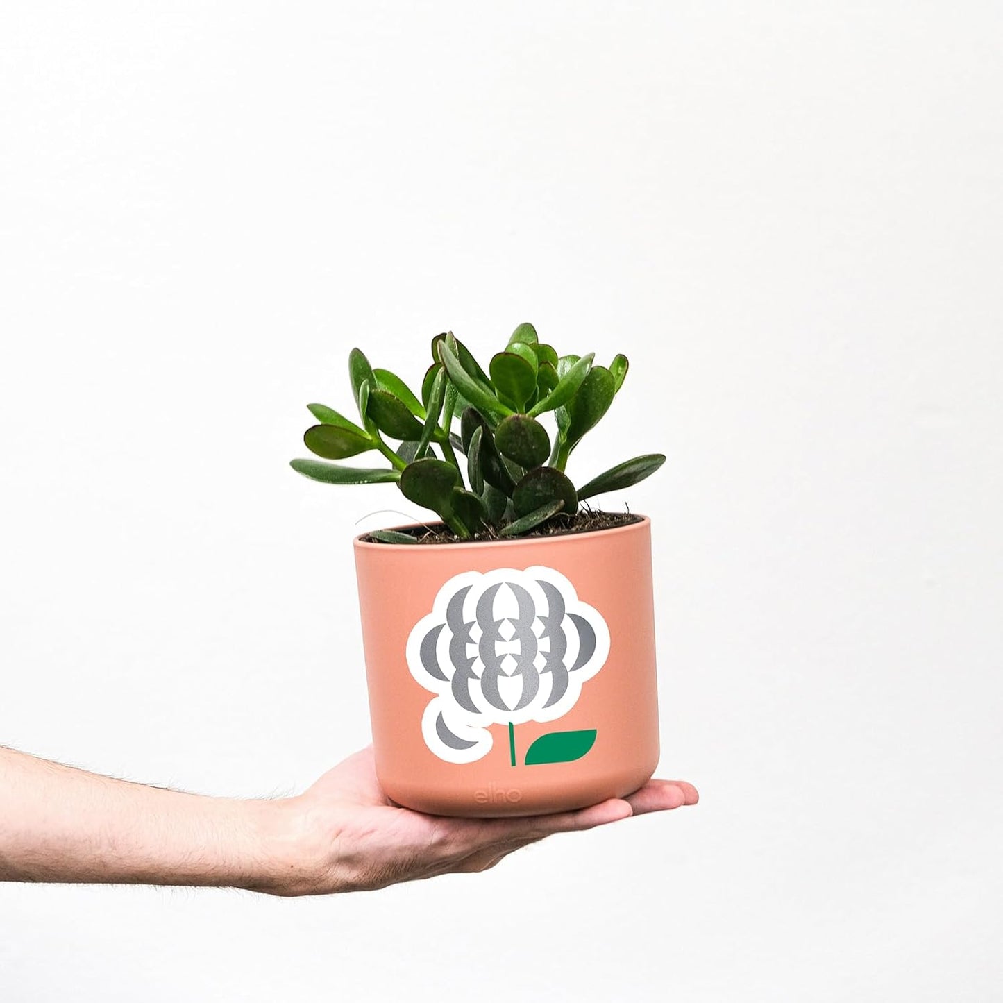 Ant Smart Adhesive Permanent Vinyl Compatible with Cricut Explore and Maker Series Without Cutting Mats, Create DIY Projects, Decals, Stickers & More (Silver, 13inch x 5ft)