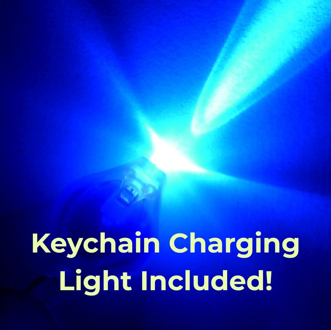 Glow in The Dark Pigment Powder - Neutral and Fluorescent Color for Art Painting, Fine Art, Nail Art Paint, and DIY Crafts - Long Lasting, 10+ Color Options - Fluorescent Orange - (60 Grams/ 2.12 oz)